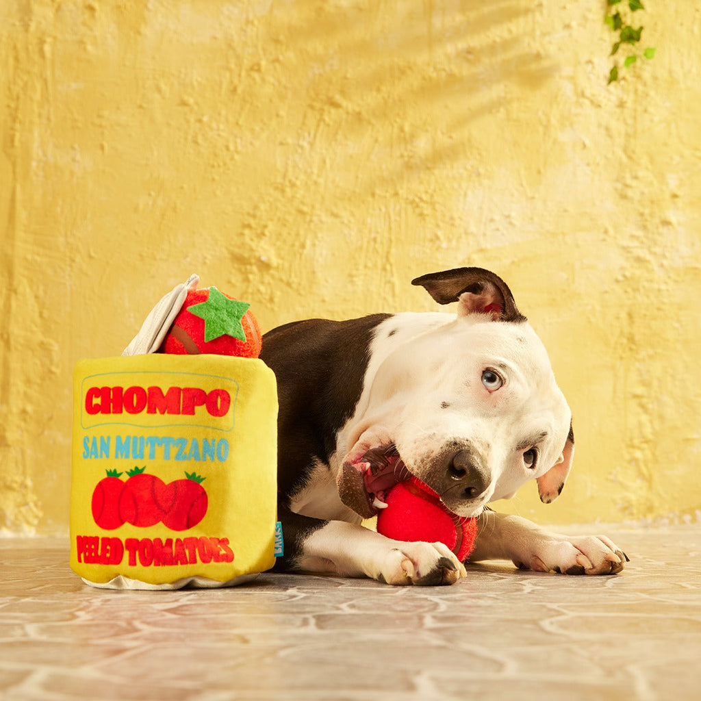 San Muttzano Tomatoes Plush Multi-Part + Enrichment + Fetch Dog Toy