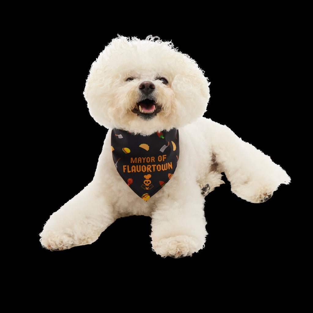 FlavortownTM Dog Bandana