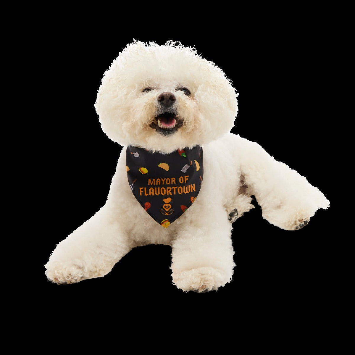 FlavortownTM Dog Bandana