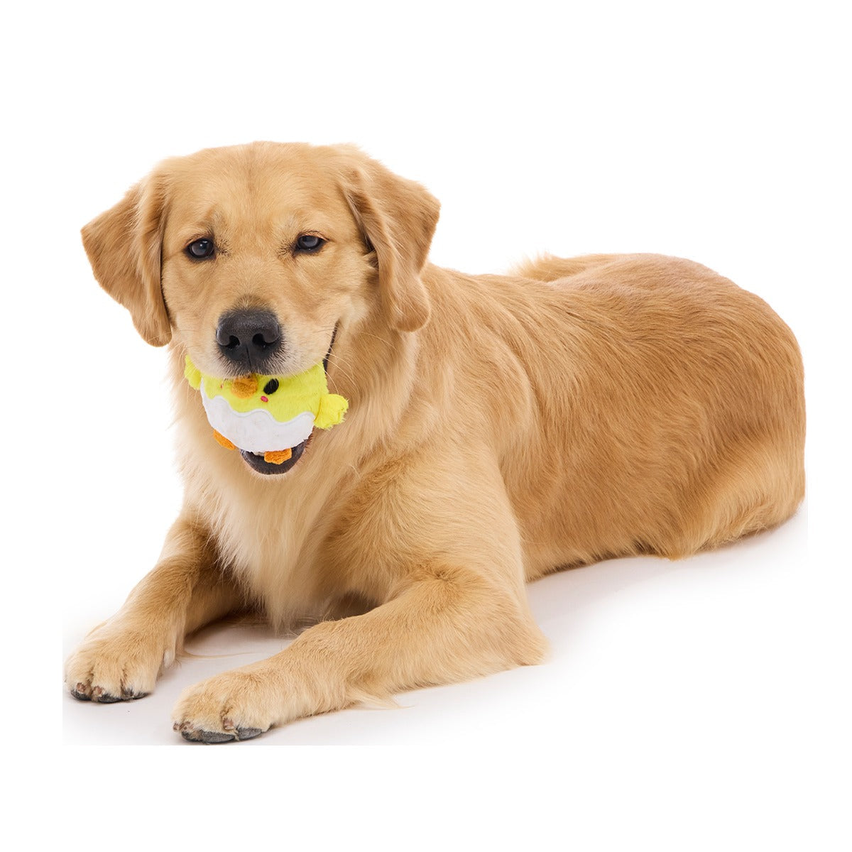 Chuck the Chick Super Chewer Durable 2-in-1 + Fetch Dog Toy