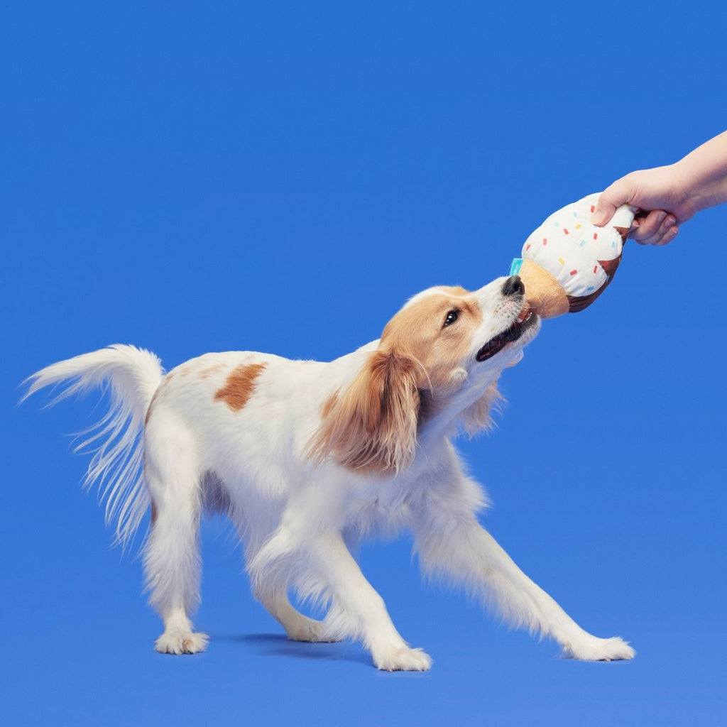Ice Cream Carn Plush Tug Dog Toy