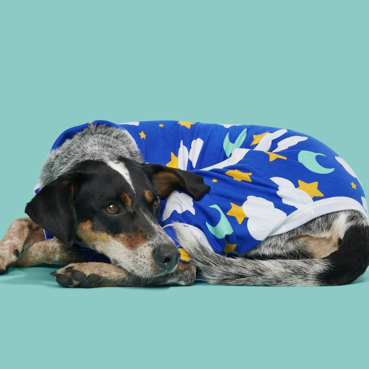 Slumber Party Dog Pajamas