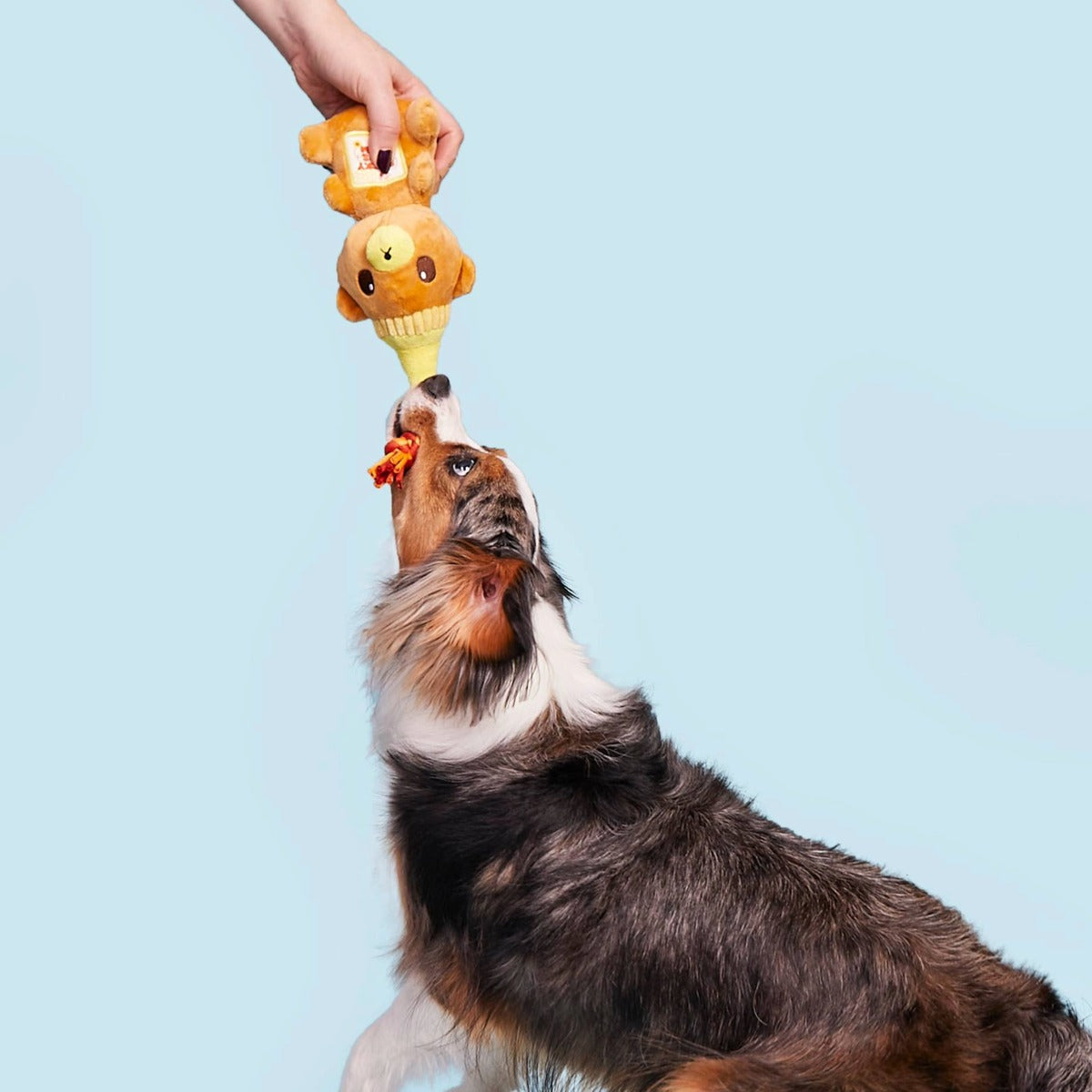 That's My Jam, Honey Plush Multi-Part + Enrichment Dog Toy