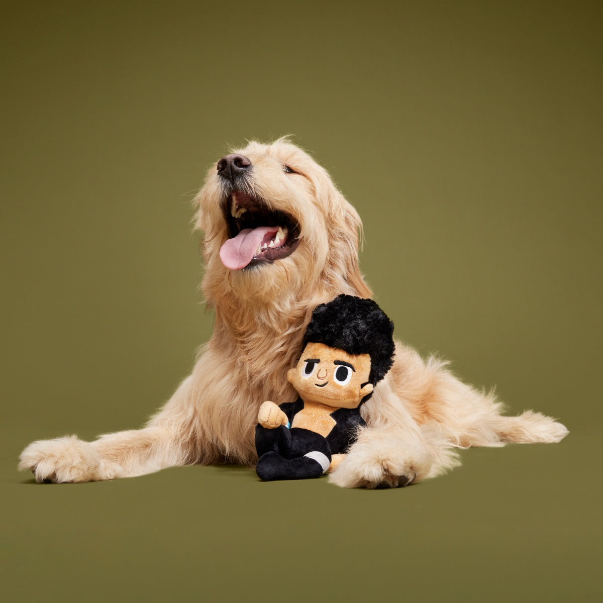 Life Finds A Play Plush Tug Dog Toy