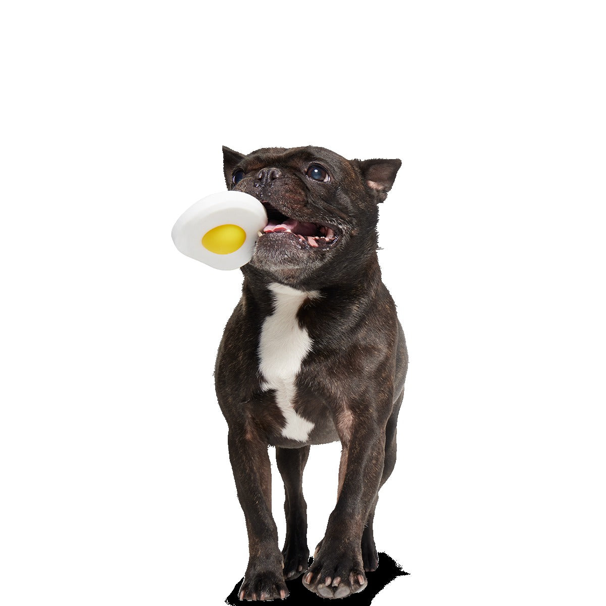 Egg Over Hard Super Chewer Durable Gnaw Dog Toy