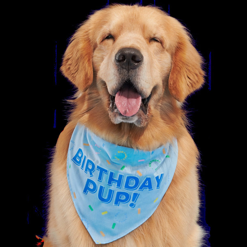 Birthday Dog Bandana