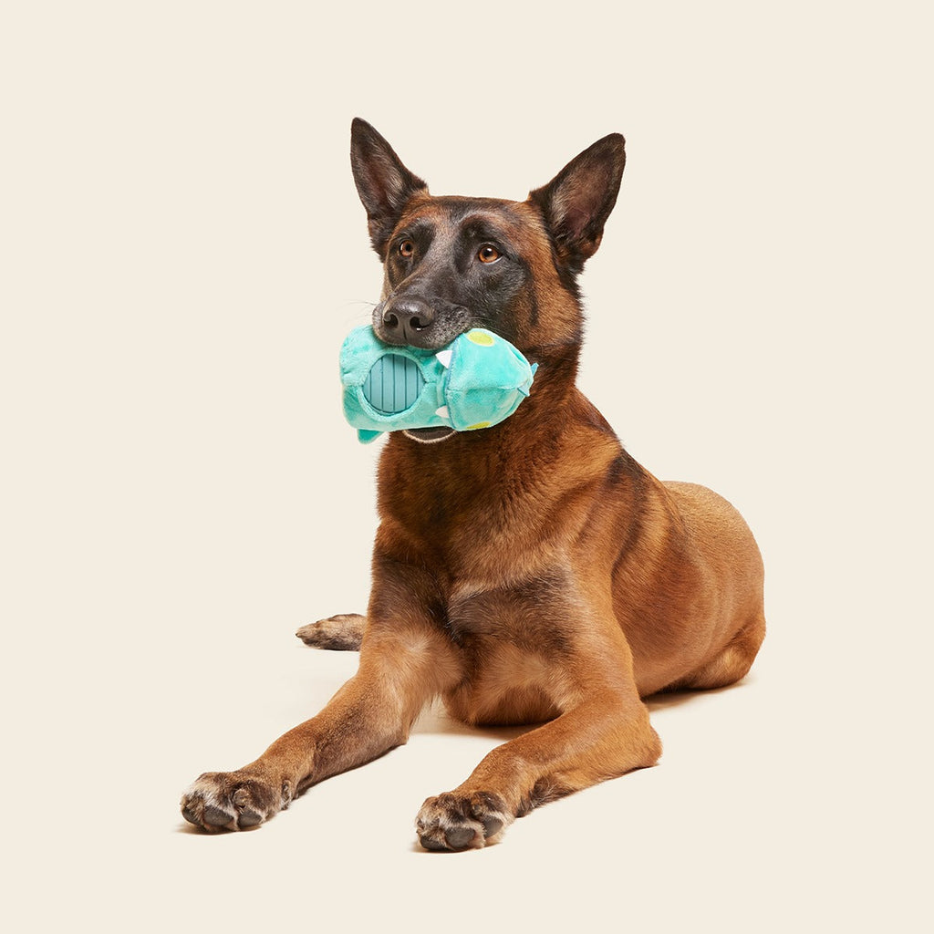 Chomposaurus Super Chewer Durable 2-in-1 Dog Toy