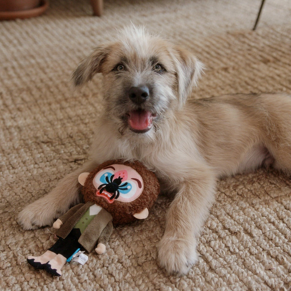 Marv Plush Tug Dog Toy