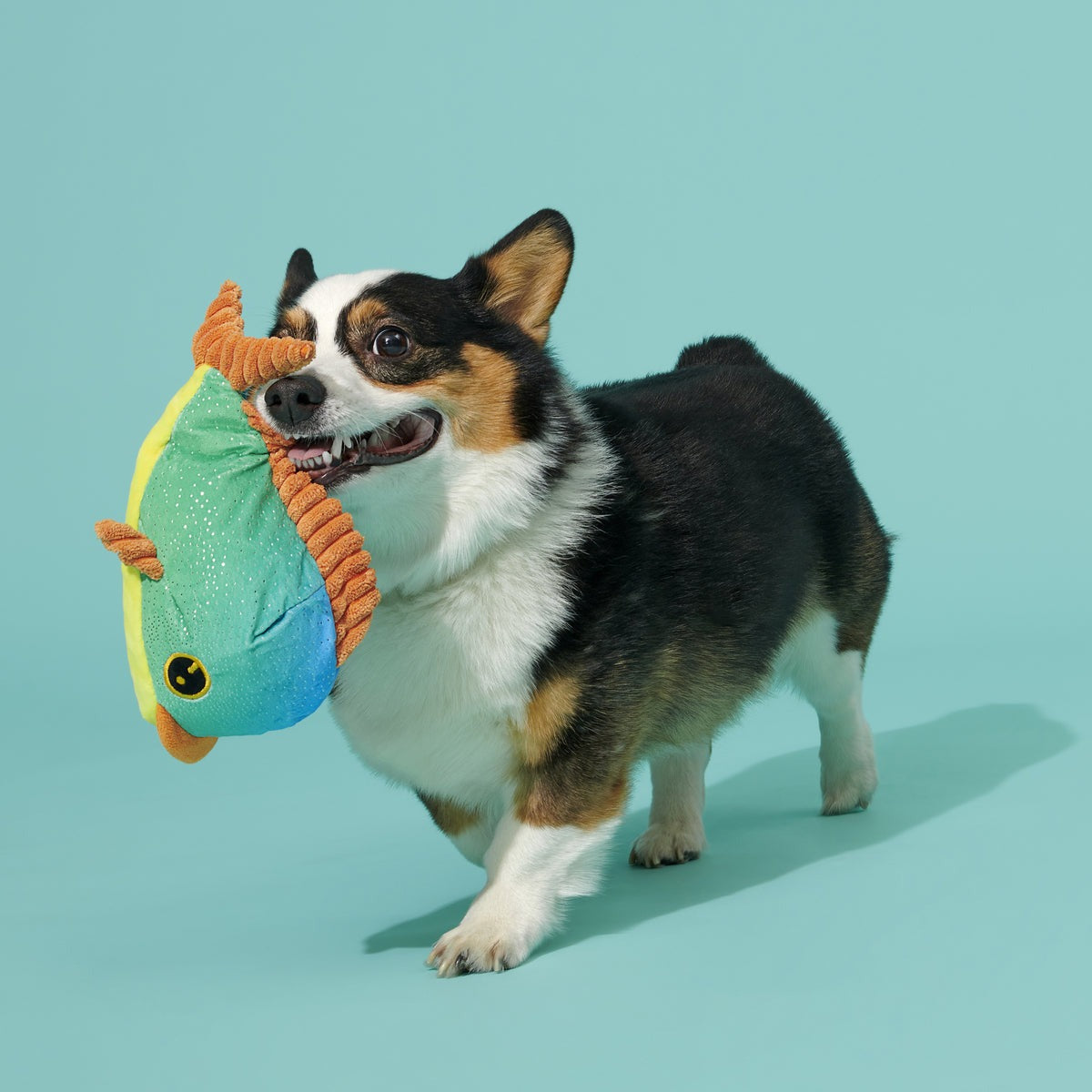 Maggie Mahi Plush Tug Dog Toy