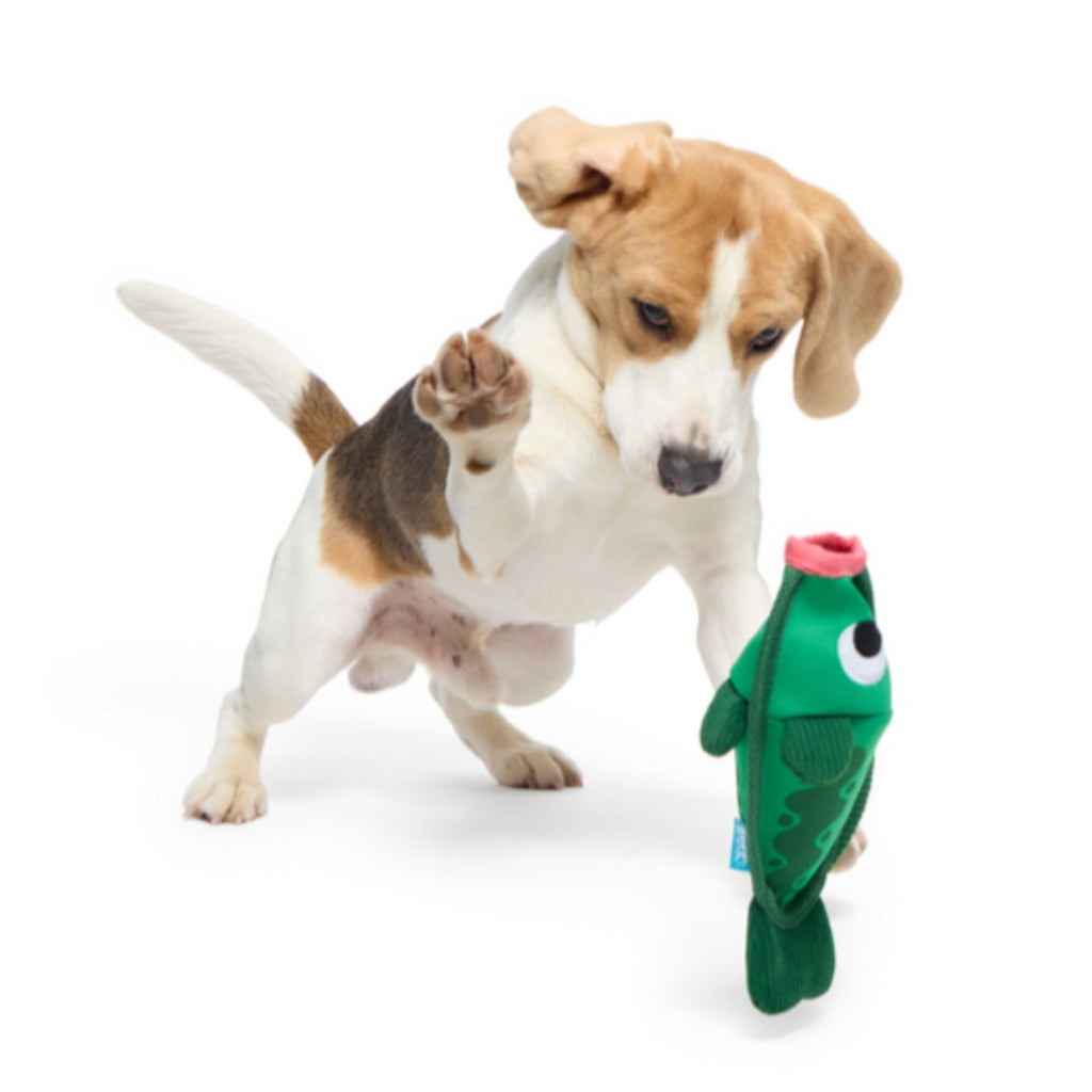Big Squeak Bass Plush Tug + Enrichment Dog Toy