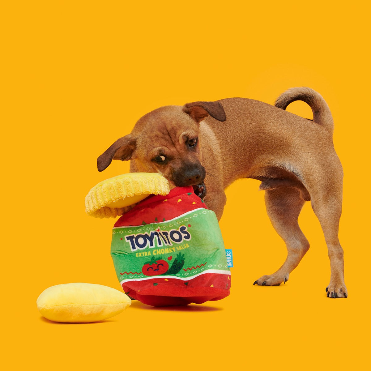 Yip & Salsa Plush Multi-Part + Enrichment Dog Toy