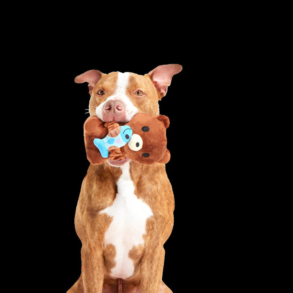 Izzy the Grizzly & Sal Plush Tug Dog Toy