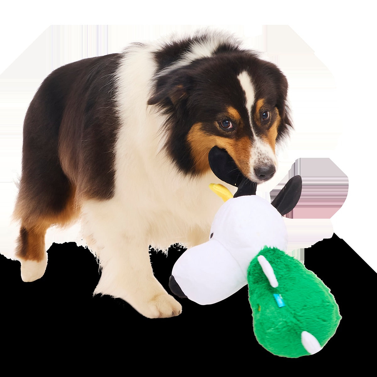 O Snoopy Tree Plush Extra-Large + Tug Dog Toy