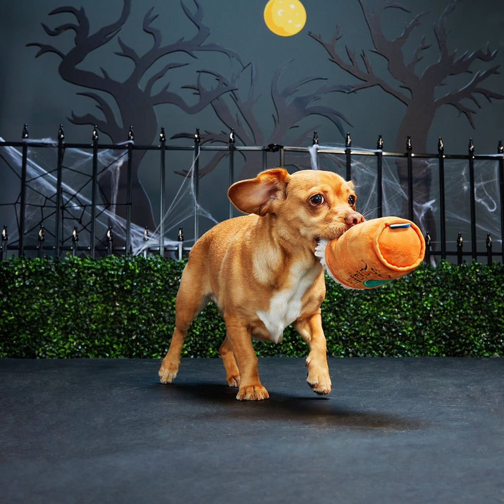 Puggin Spice Latte Plush Dog Toy
