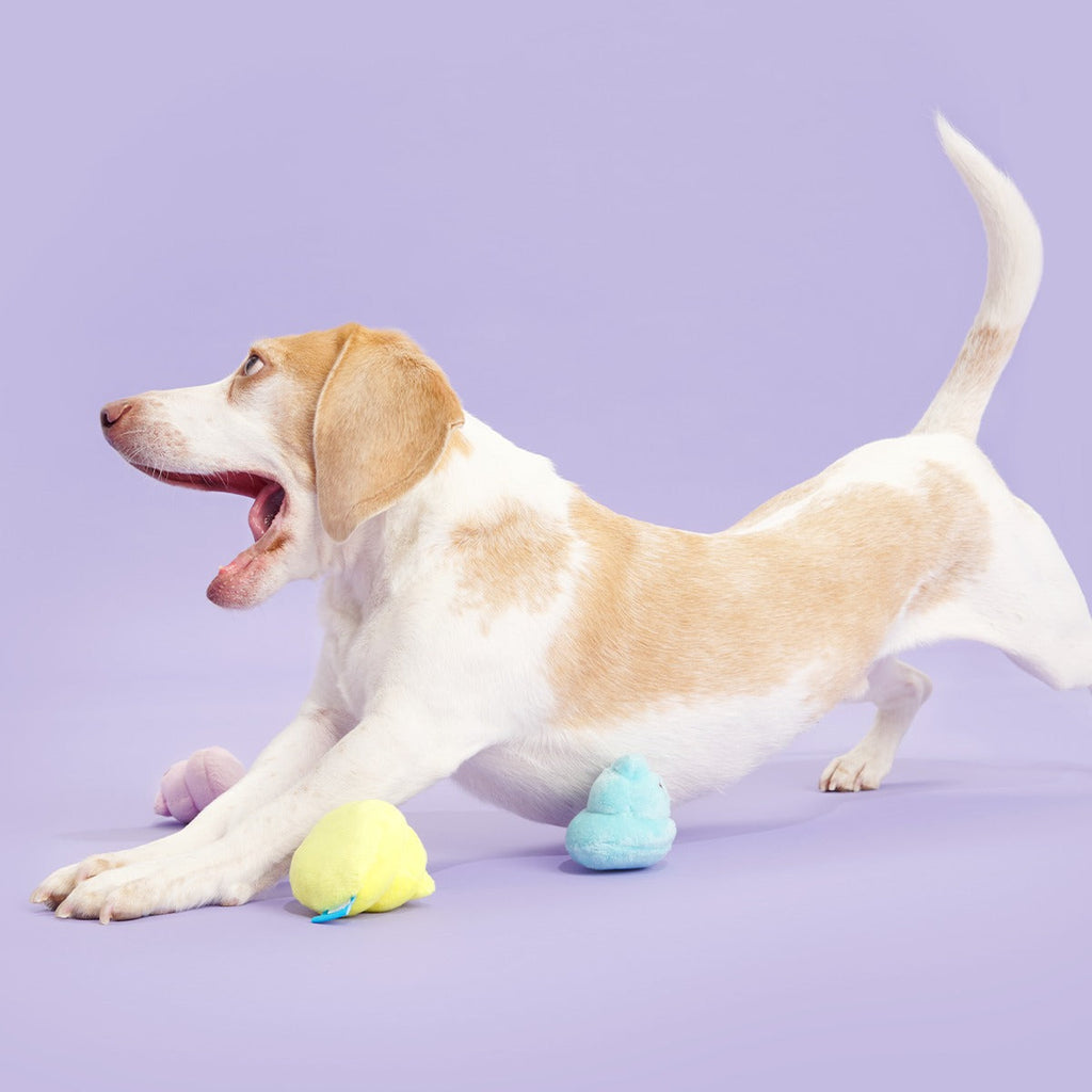 Marshmallow Poops Plush Multi-Part Dog Toy