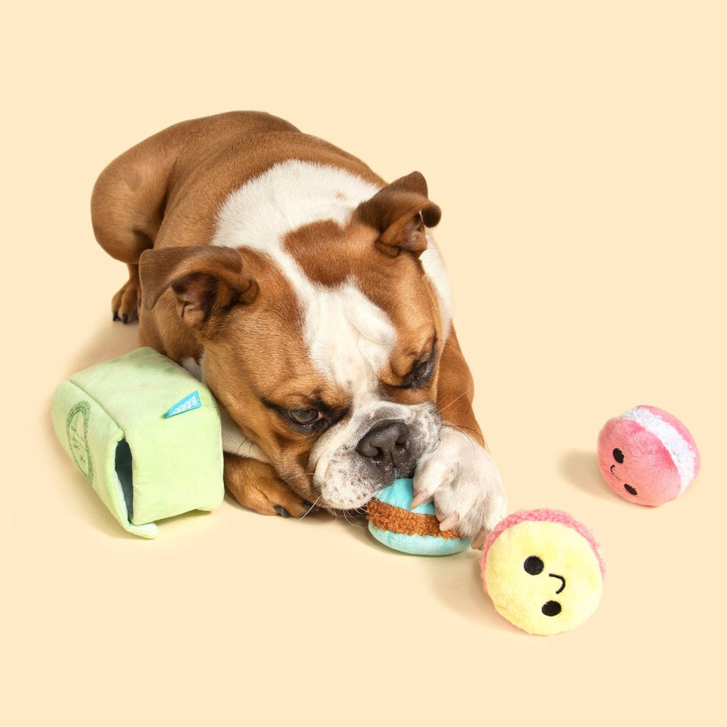 Wee Wee Macaroon Plush Multi-Part + Enrichment Dog Toy