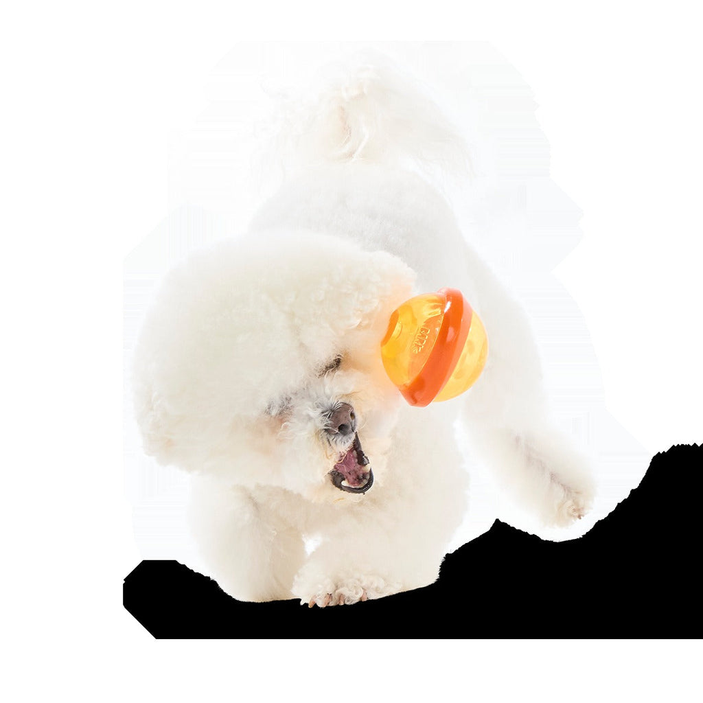 Nebula Super Chewer Durable Fetch + Enrichment Dog Toy
