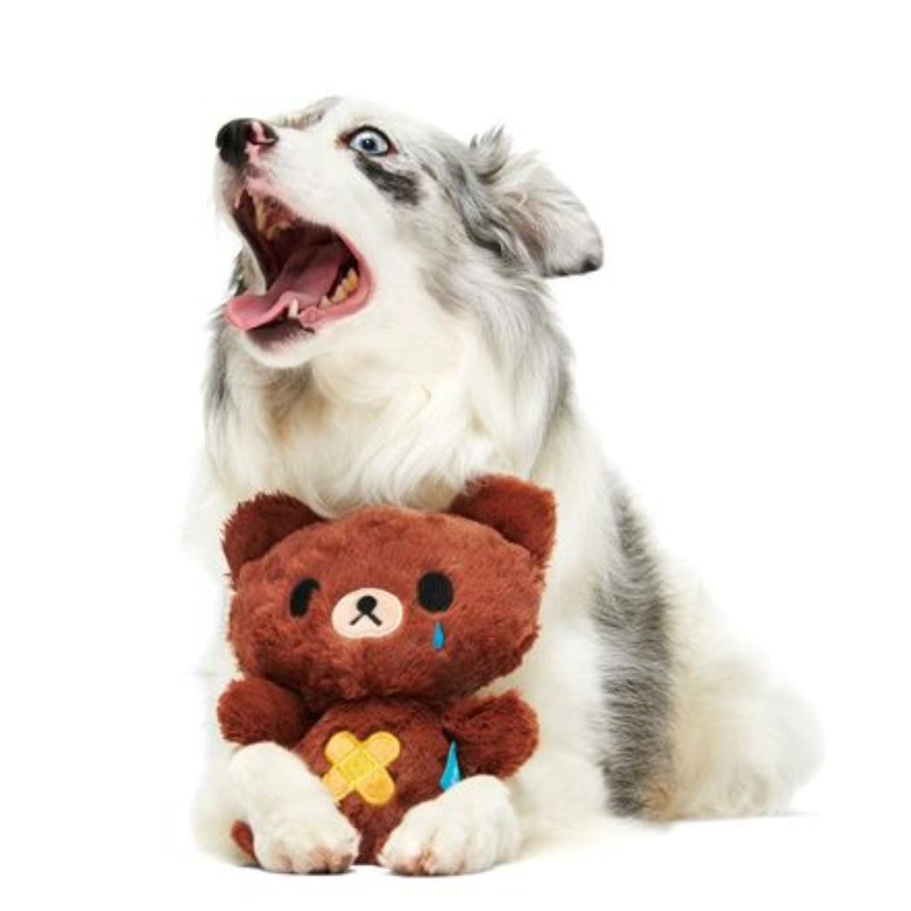 Take Care Bear Plush Dog Toy