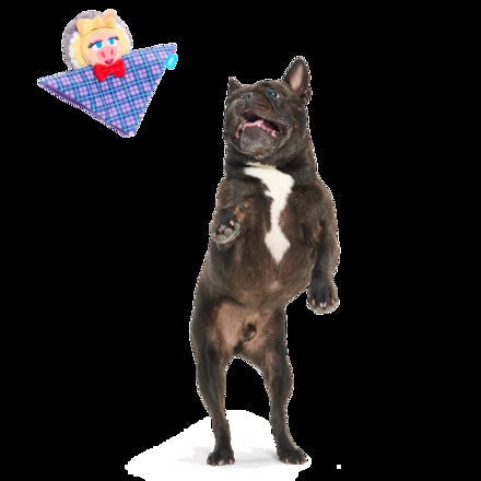 The Muppet Kermit & Miss Piggy Bundle Plush Multi-Part Dog Toy