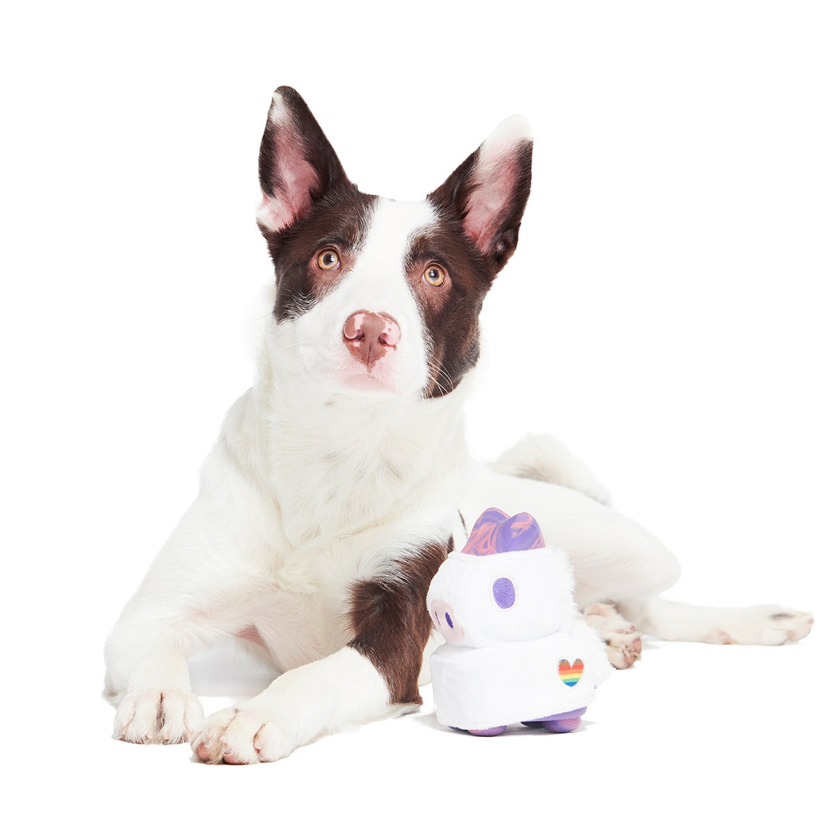 Disco Giddy Super Chewer Durable 2-in-1 + Enrichment Dog Toy