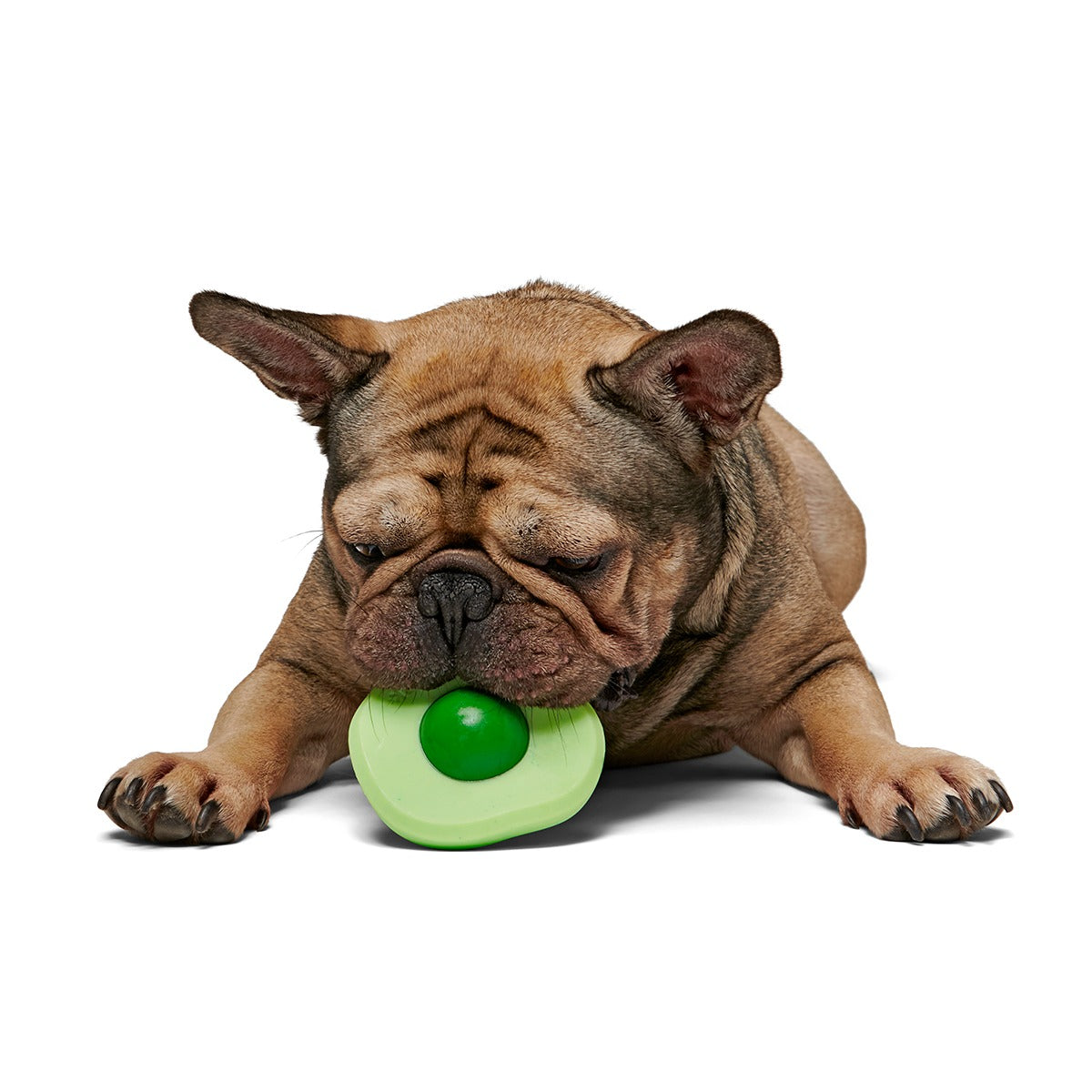 Green Egg Super Chewer Durable Gnaw Dog Toy