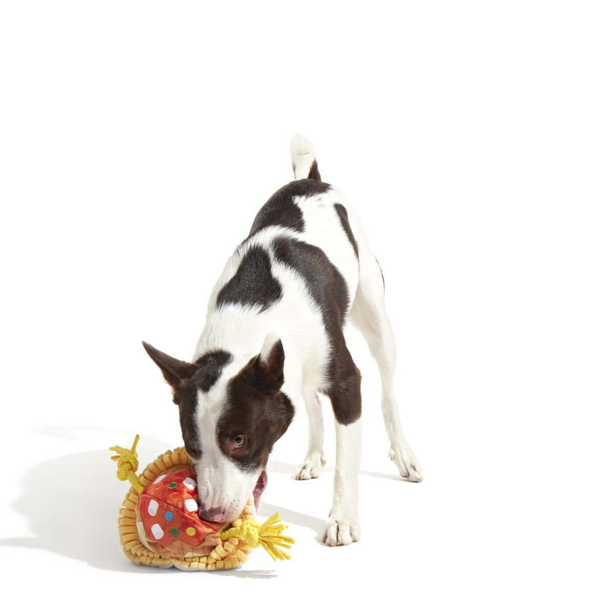Candy Squeakghetti Plush Tug Dog Toy