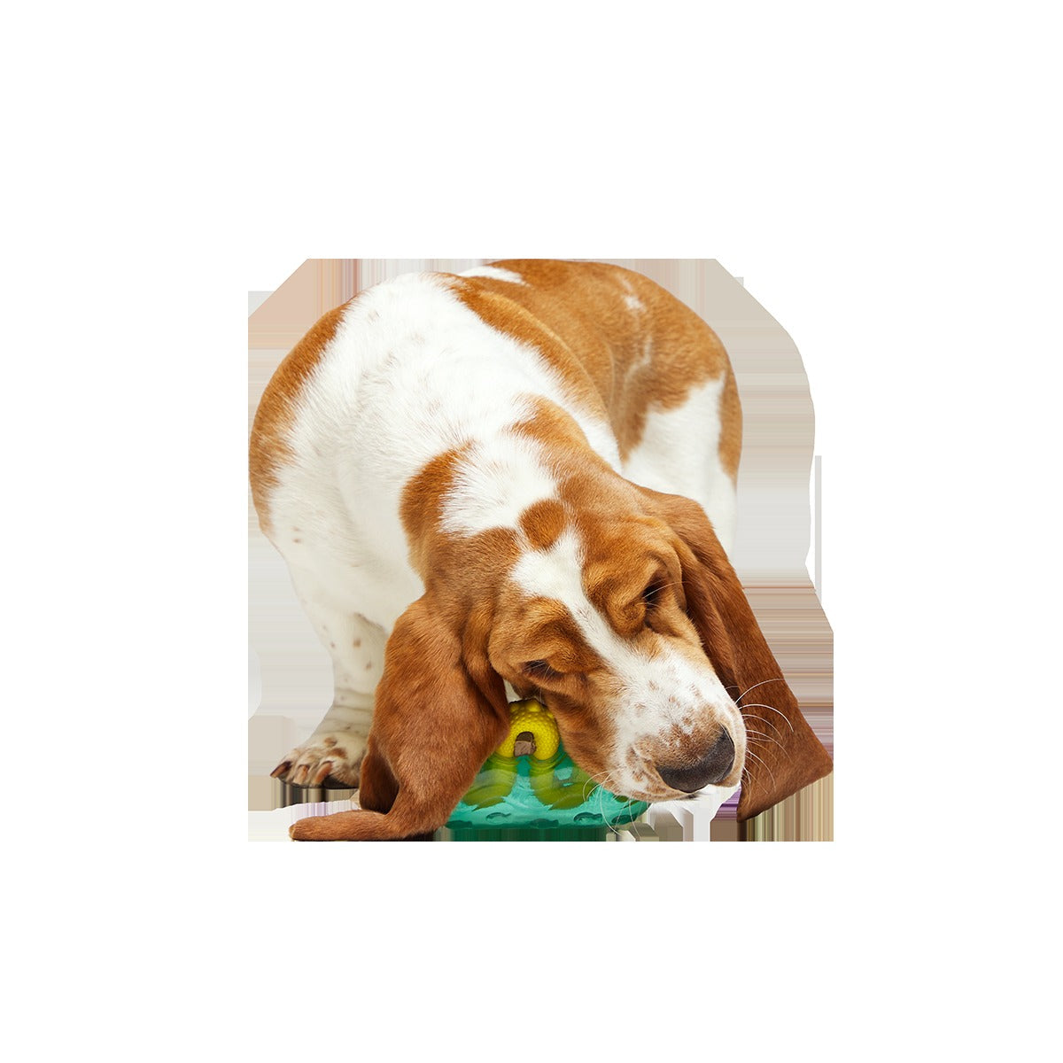 The Dogness Monster Super Chewer Durable Gnaw Dog Toy