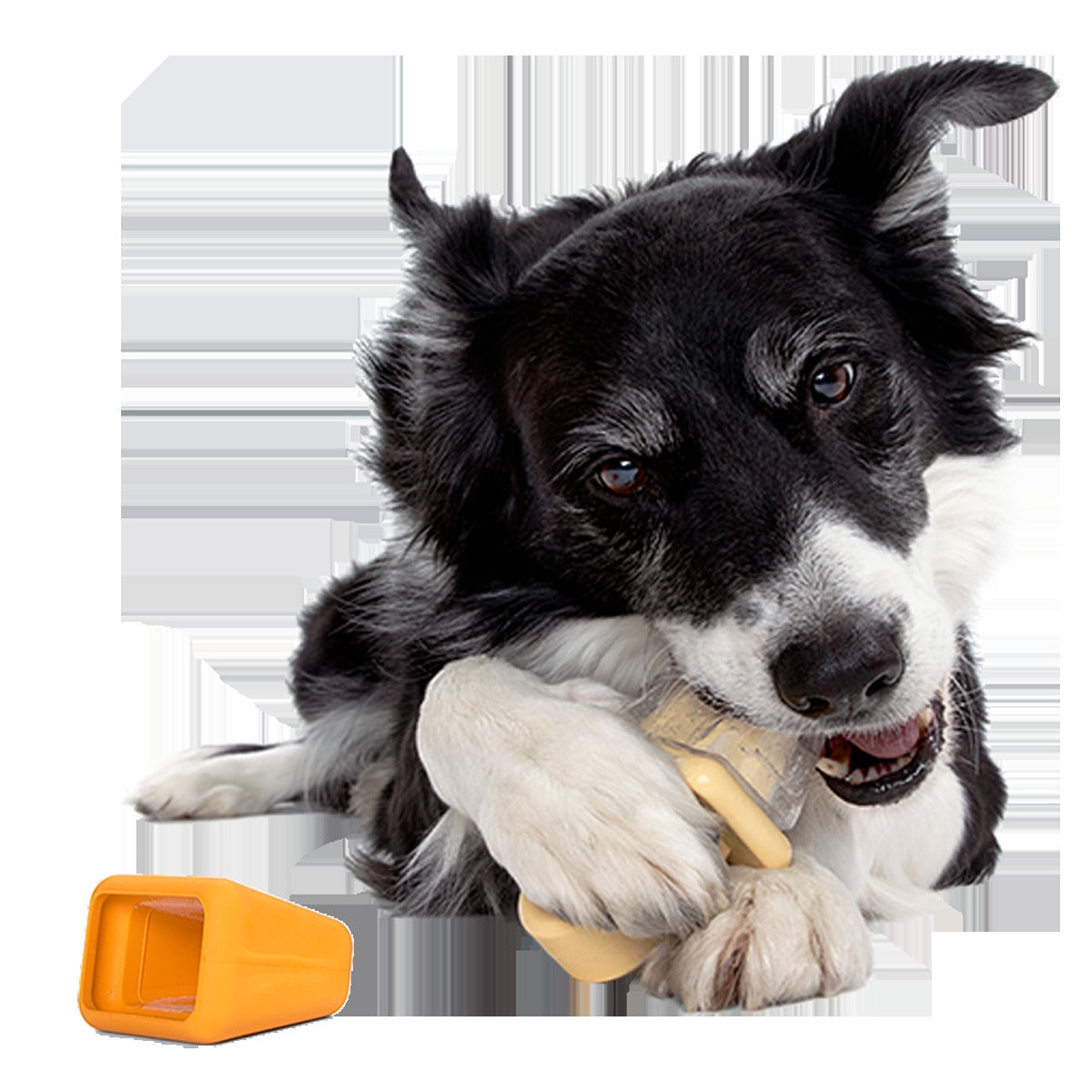 Make n' Munch Ice Pop Kit Super Chewer Durable Multi-Part Dog Toy
