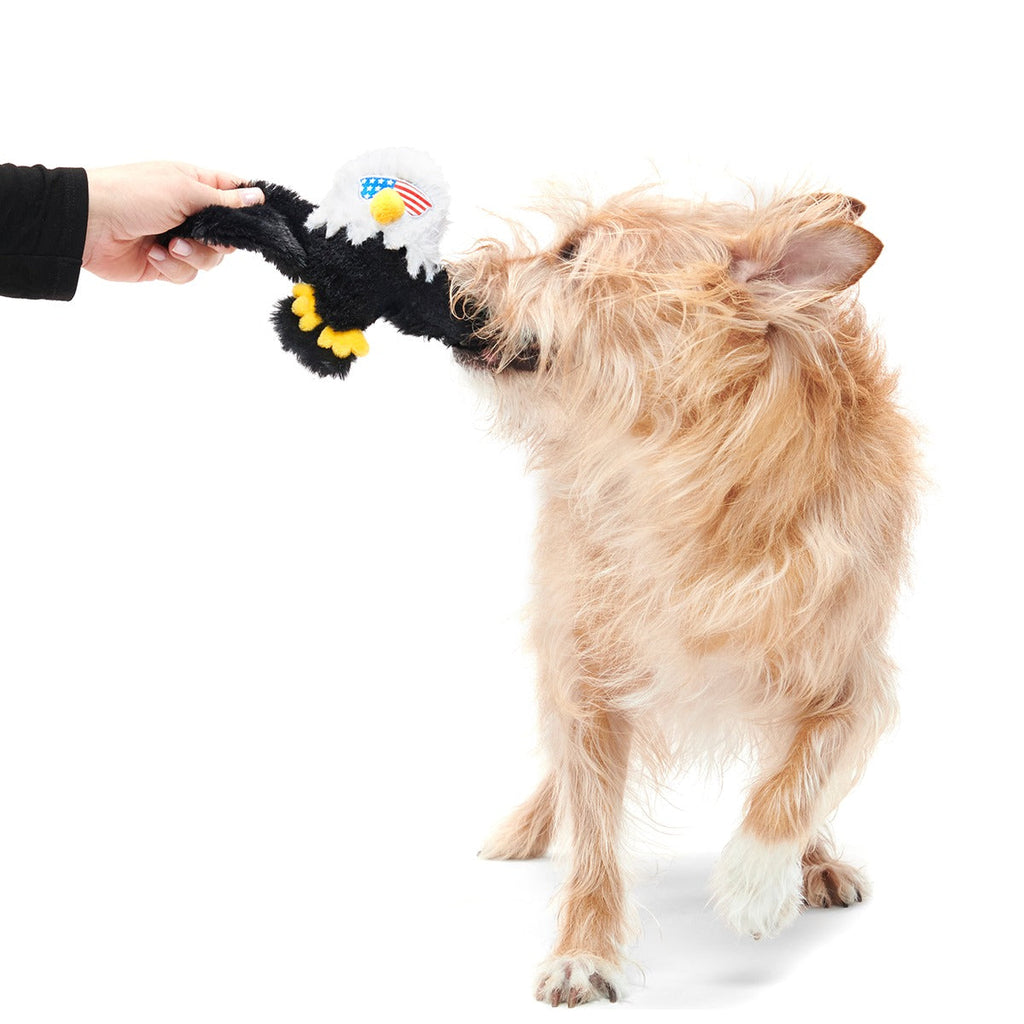 Bold Eagle Plush Tug Dog Toy