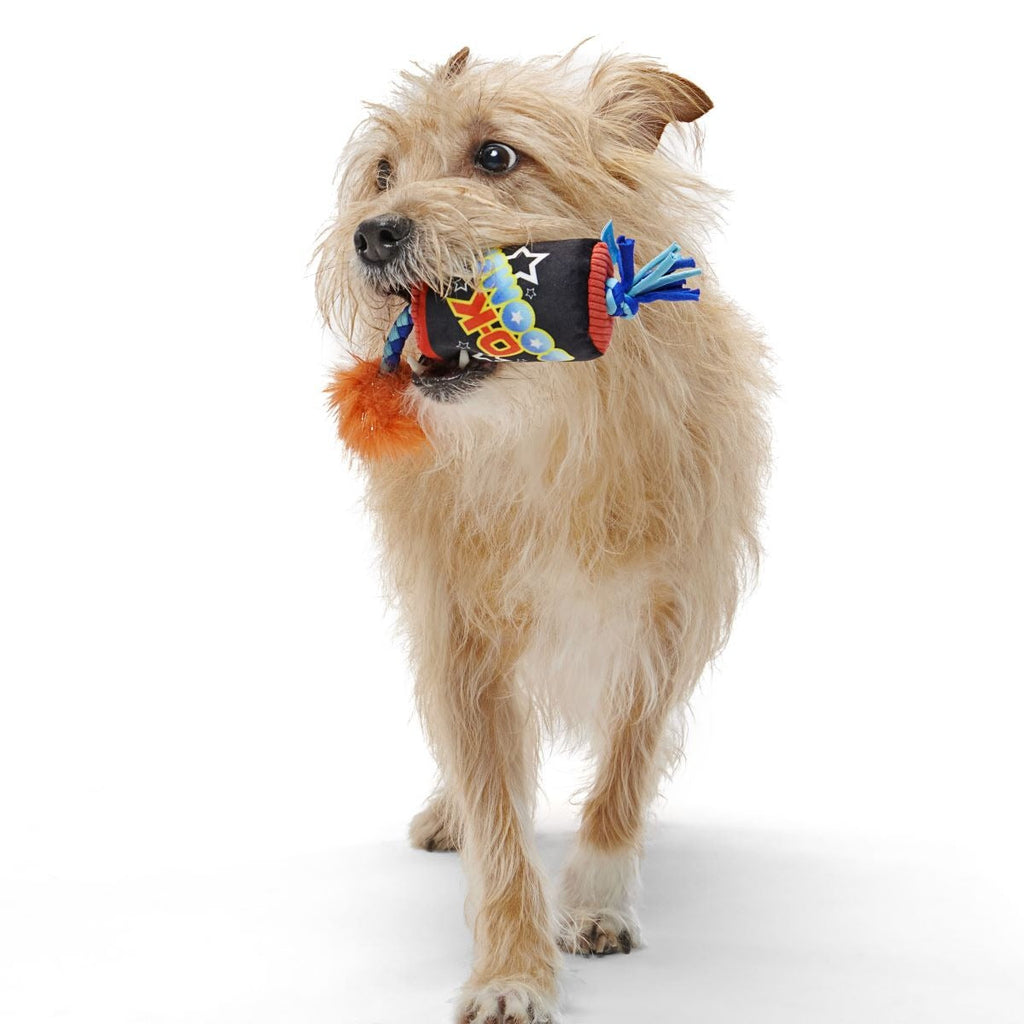 O-K Boomer Plush Tug Dog Toy