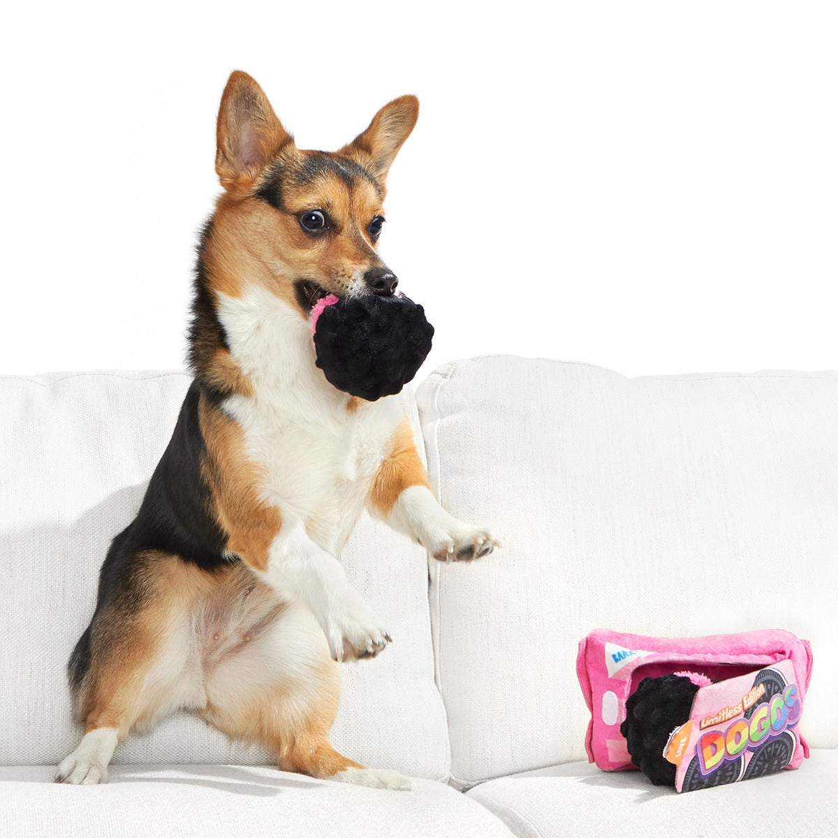 Rainbow Dogo Dunkers Plush Multi-Part + Enrichment Dog Toy