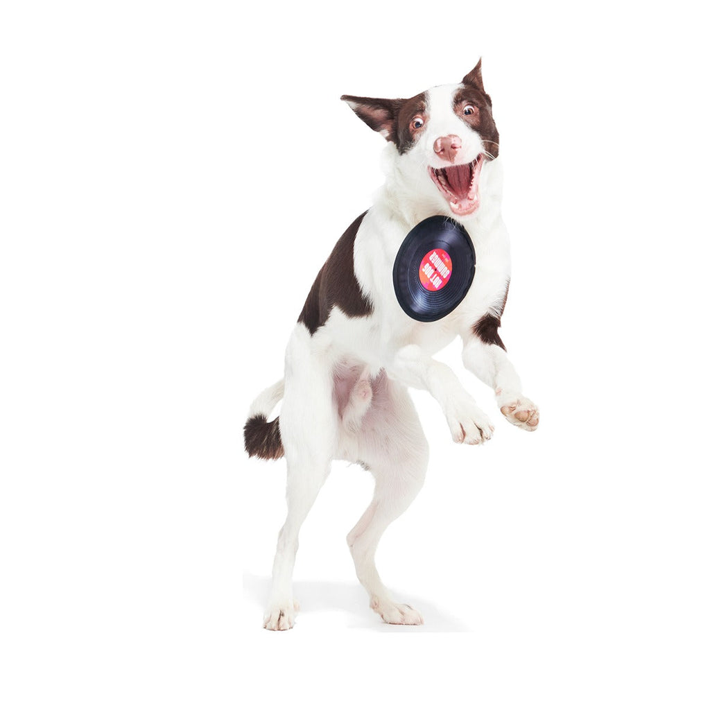 Disco Doggo Disc Super Chewer Durable Fetch Dog Toy