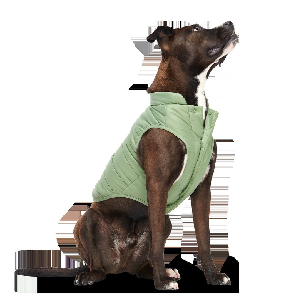 Puffer Dog Vest