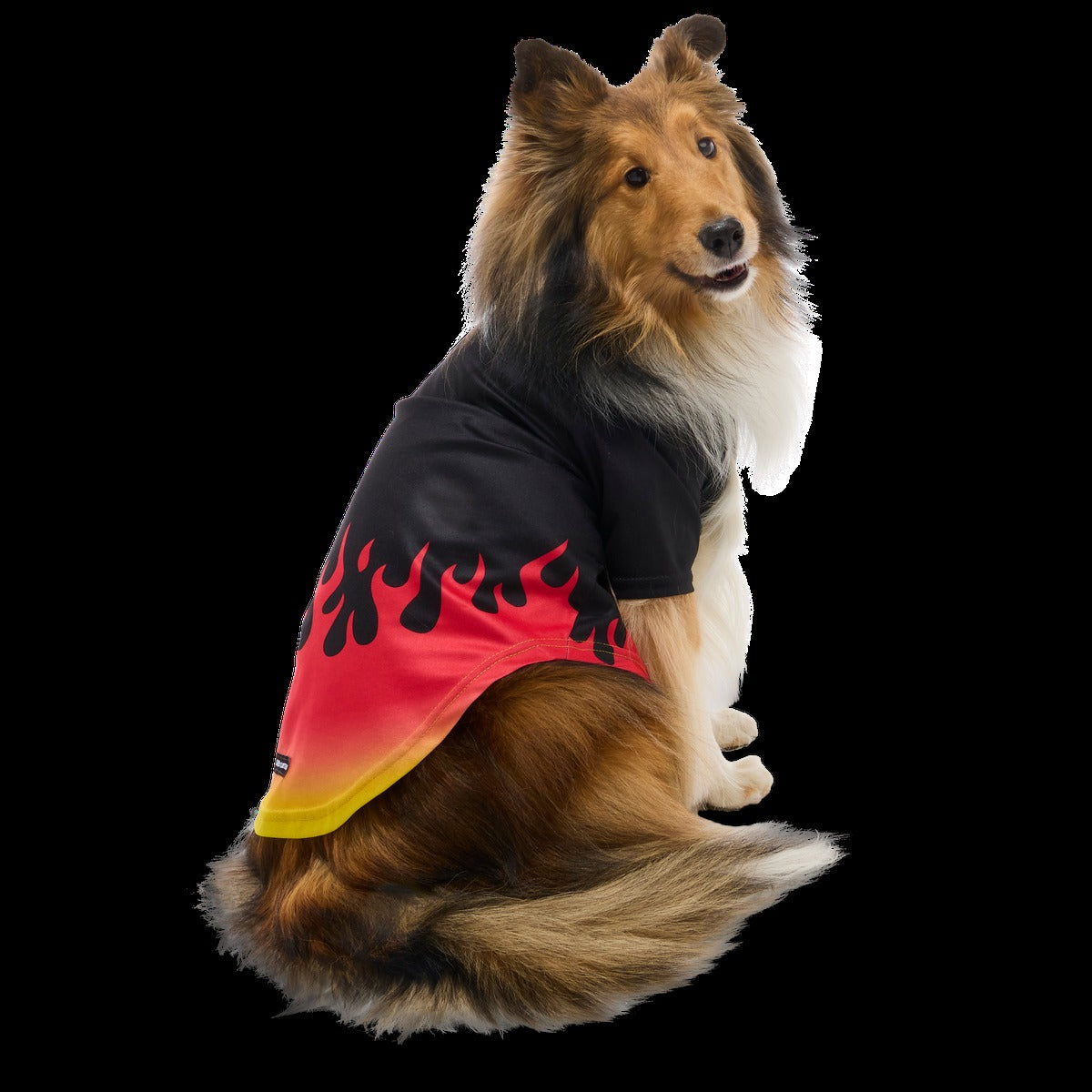 Flame Broiled Button-Down Dog Shirt