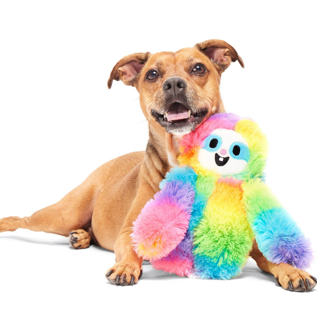 Good Vibes Gary Plush Tug Dog Toy