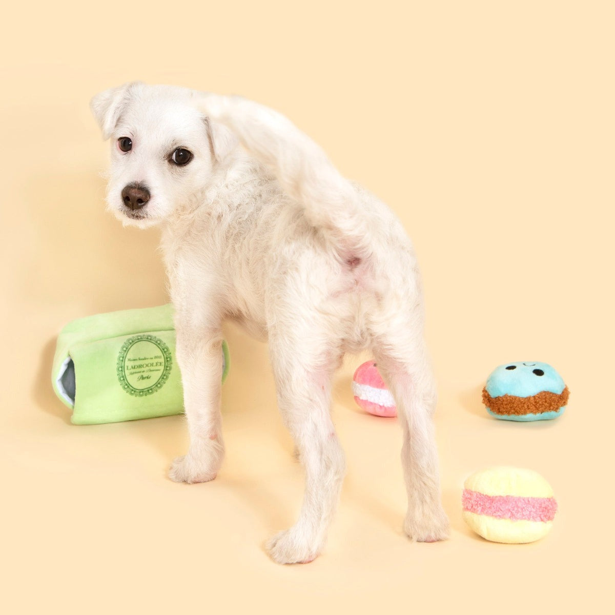 Wee Wee Macaroon Plush Multi-Part + Enrichment Dog Toy