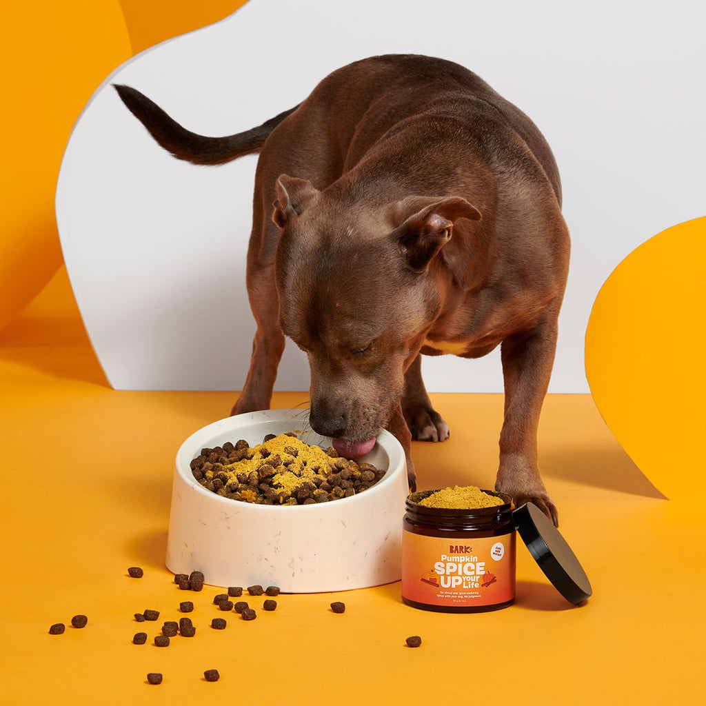 Pumpkin Spice, And Everything Nice Vegetarian Dog Food Meal Topper