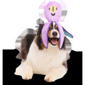 U.F.Ollie Plush Extra-Large + Tug Dog Toy