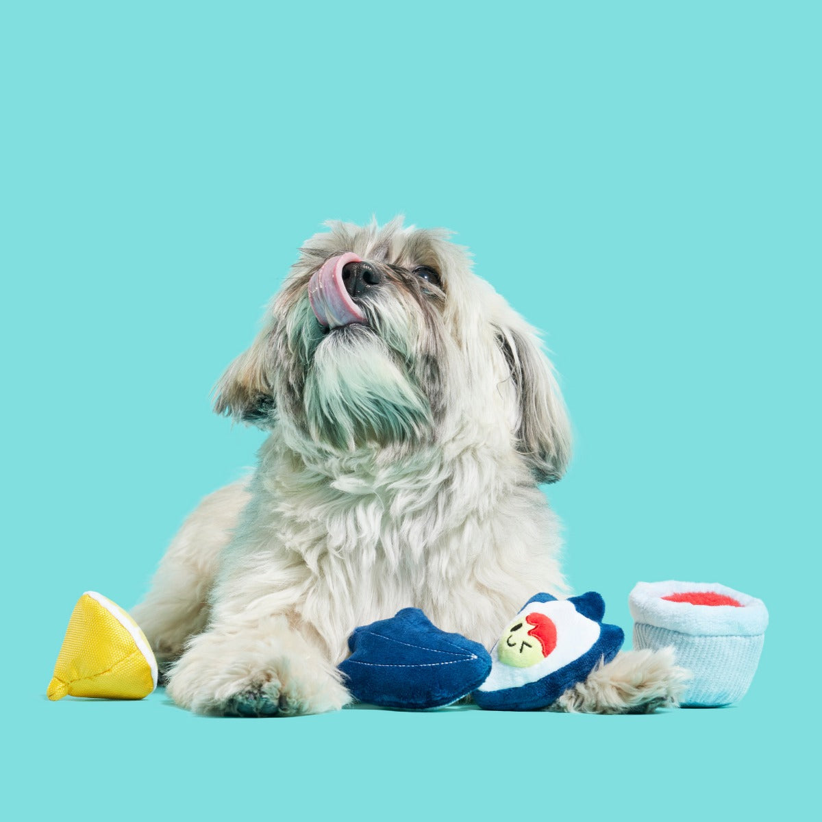Shuck N' Chuck Toysters Plush Multi-Part Dog Toy