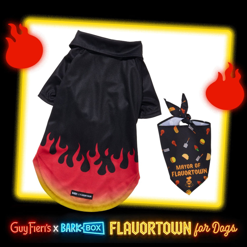 FlavortownTM Wearable Bundle