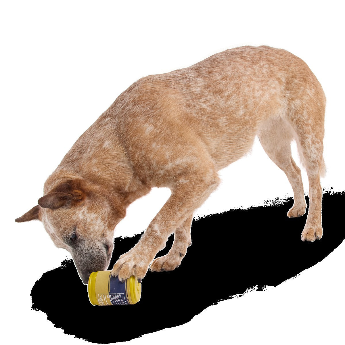 Cold Dead Can Super Chewer Durable Enrichment Dog Toy