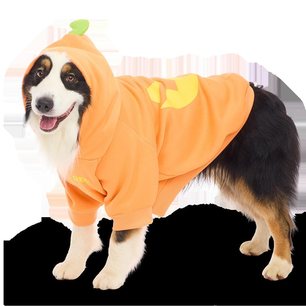 Jack O'Lantern Dog Hoodie