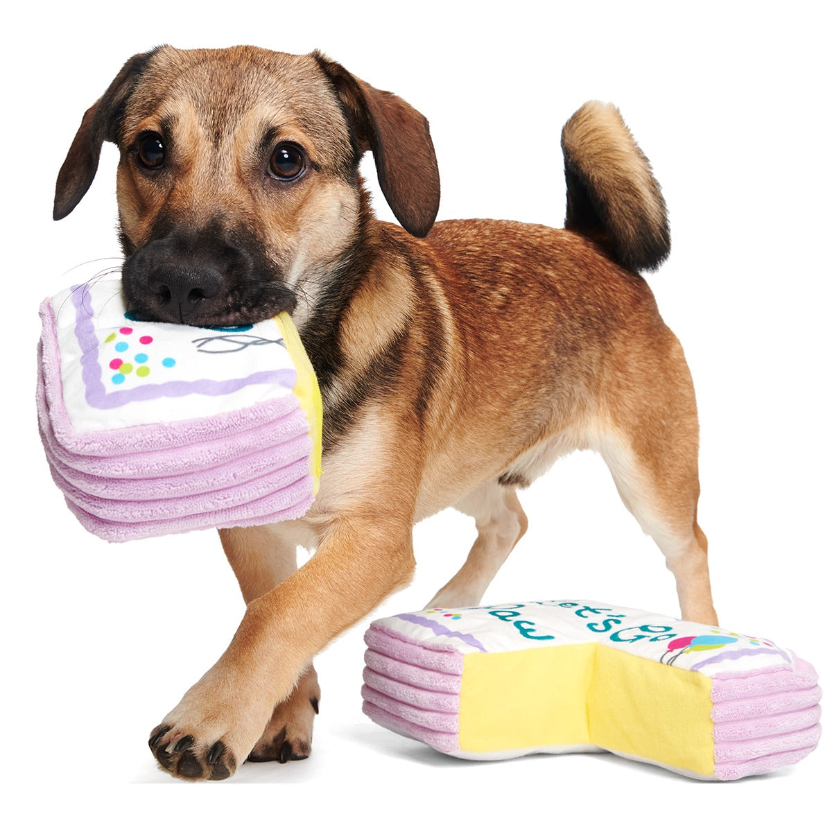 Piece Of Sheet Cake Plush Multi-Part Dog Toy