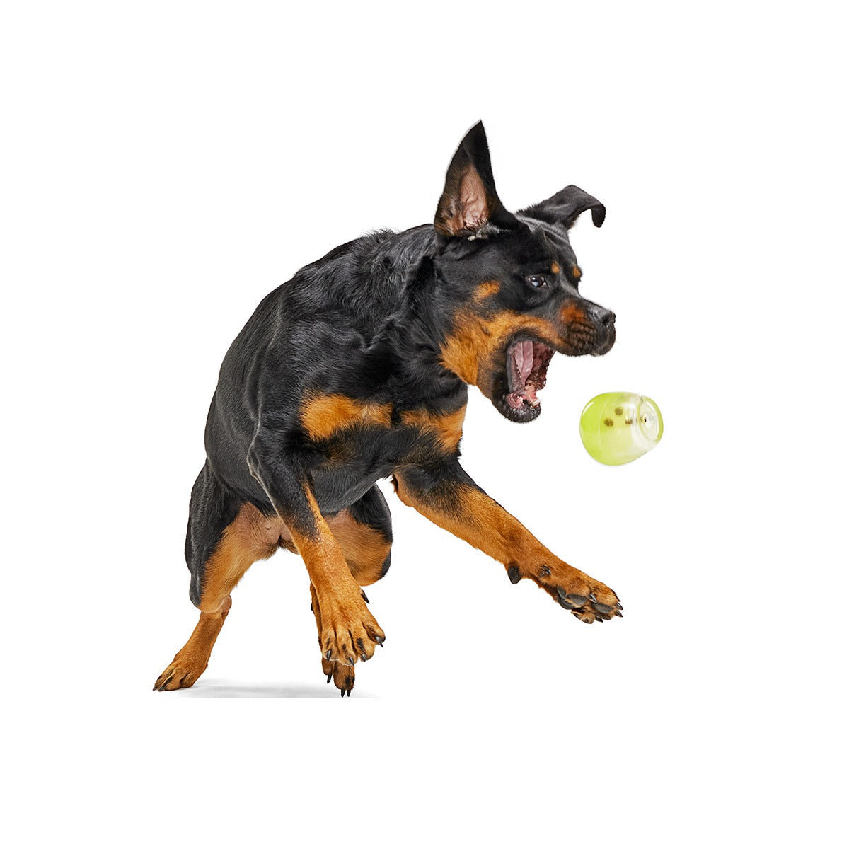 Tipsy Margarita Super Chewer Durable Enrichment Dog Toy