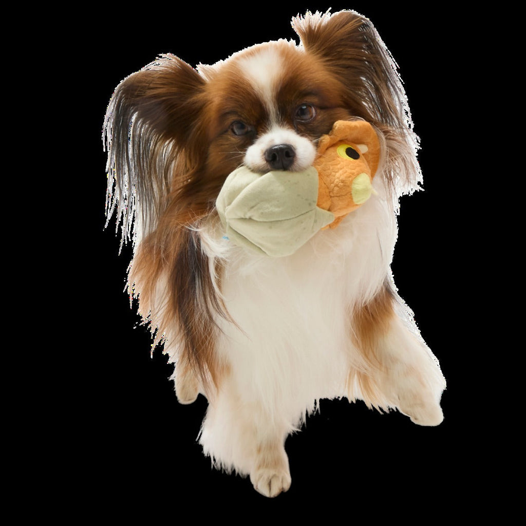 Baby Triceratops Plush Multi-Part + Enrichment Dog Toy