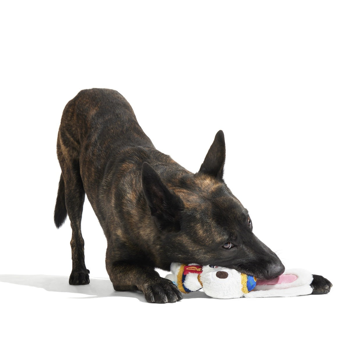 Hoppy Lunar New Year Plush Tug Dog Toy