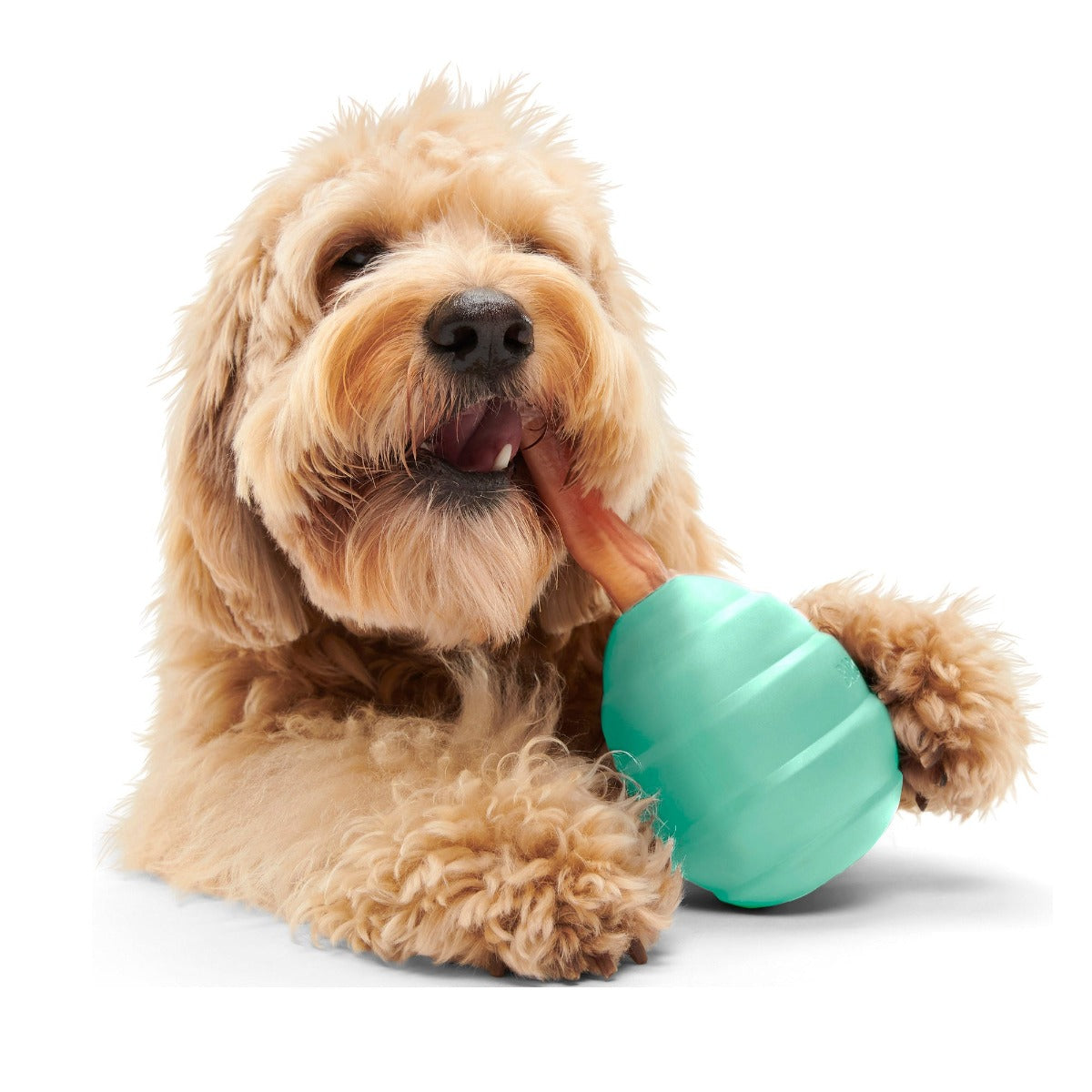 Pup's Treat Pinecone Super Chewer Durable Enrichment + Fetch Dog Toy