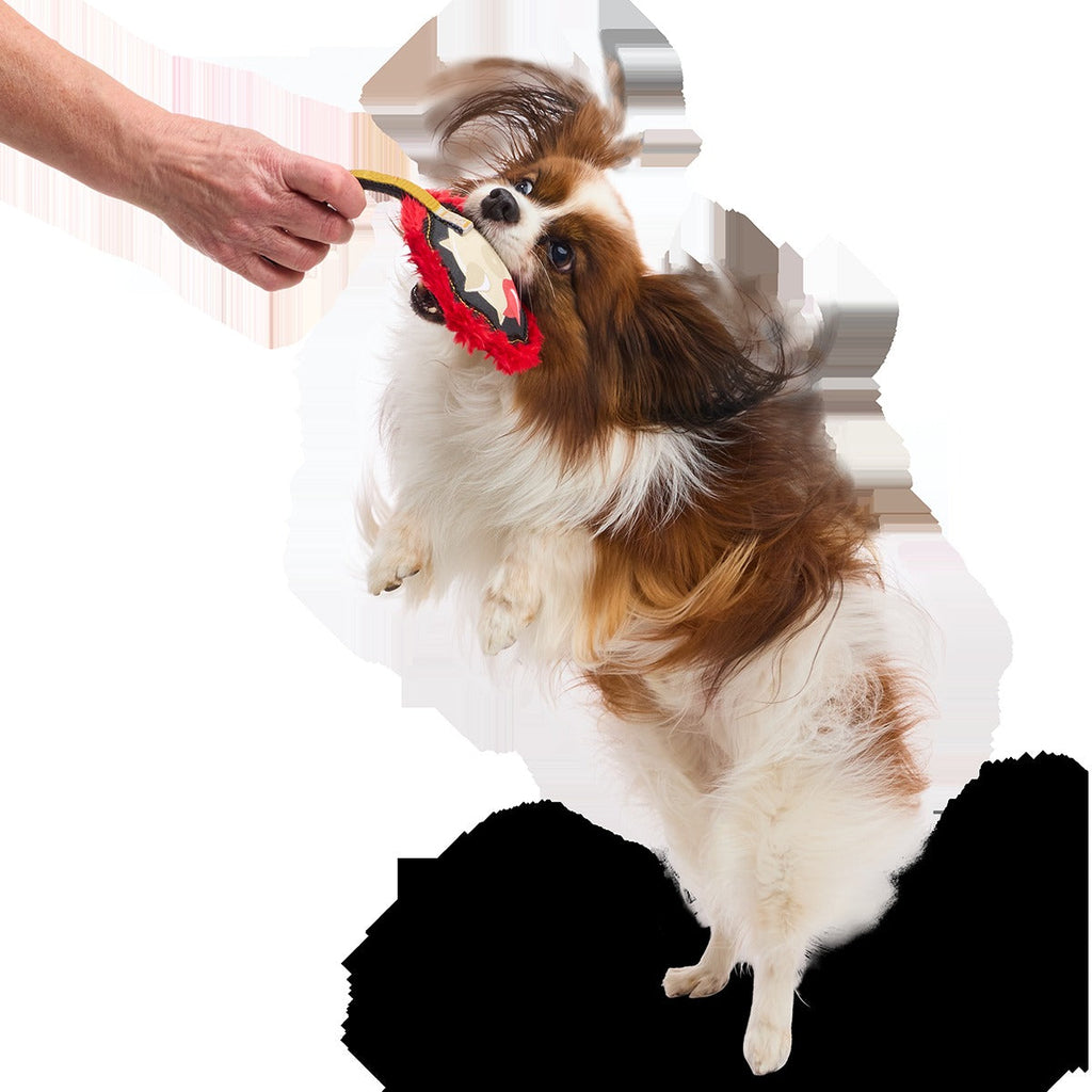 Mace of Spades Super Chewer Durable Tug Dog Toy