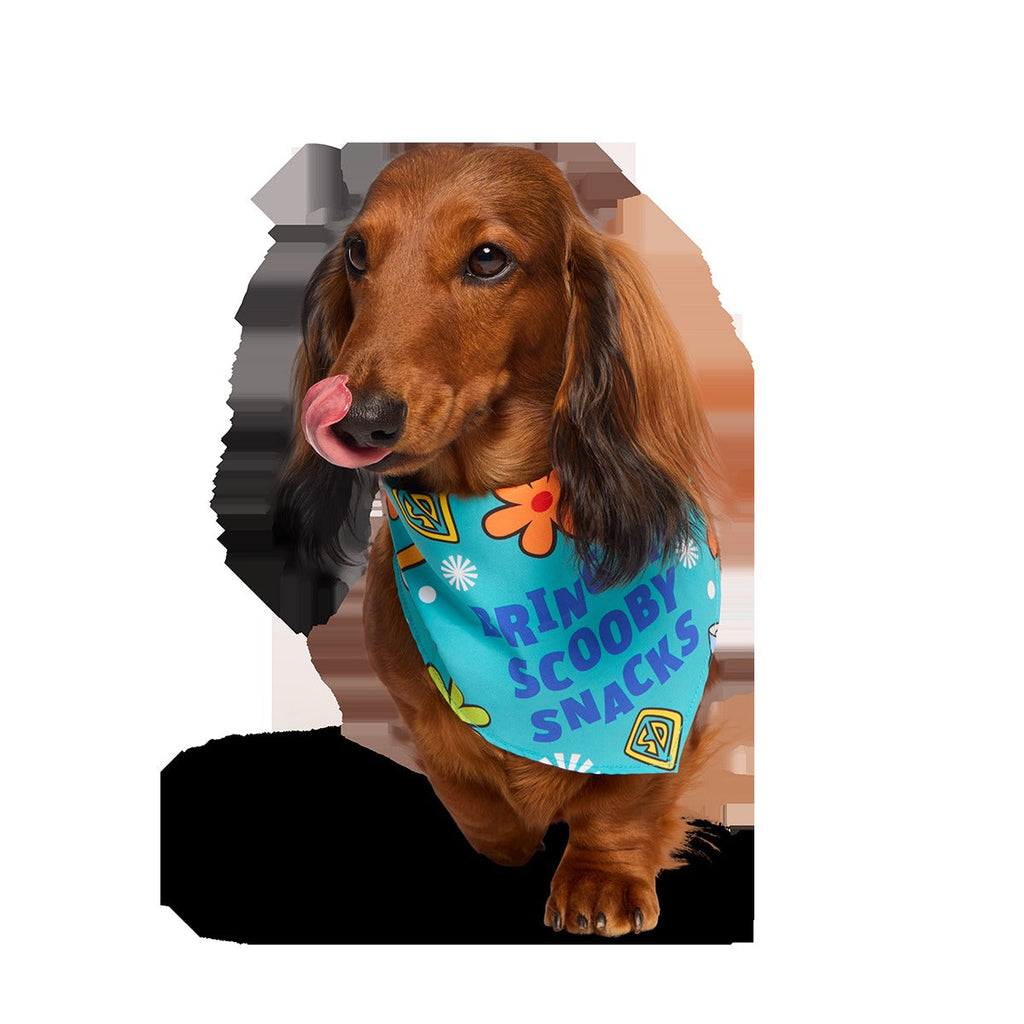 ScoobyTM Snacks Dog Bandana