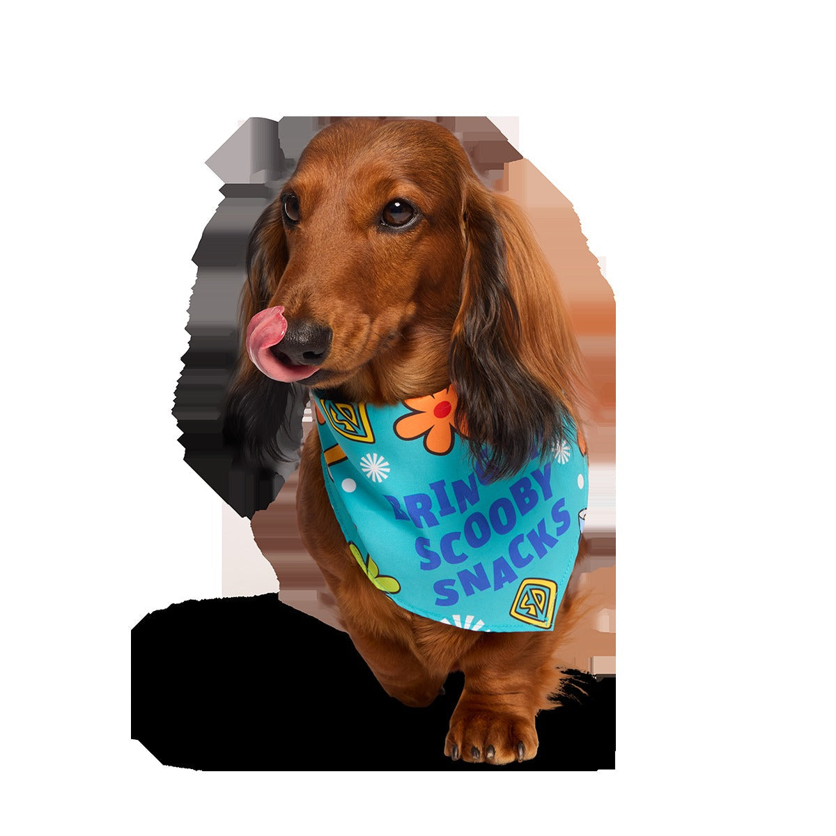 ScoobyTM Snacks Dog Bandana